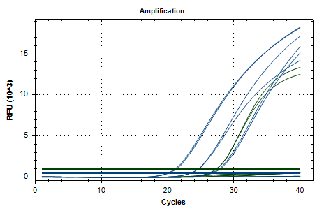 RevoDx HDV qPCR Kit (quantitative)