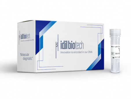 RevoDx Набір для виявлення діарейних штамів Escherichia coli (DEC)